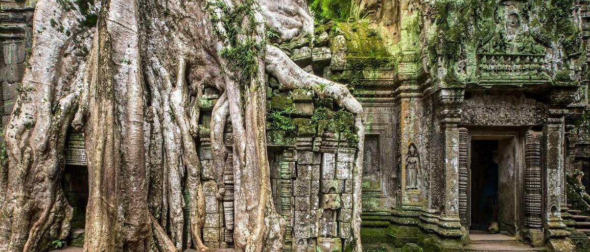 Voyage Cambodge Ta Prohm Siem Reap