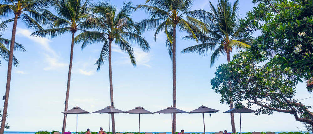 Voyage Bahamas Nassau parasols et palmiers Andros
