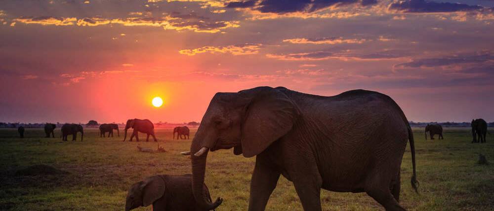 Voyage Botswana coucher de soleil