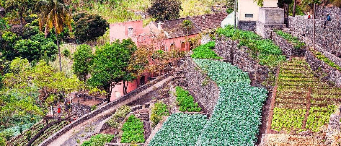 Voyage Cap-Vert jardins en terrasse