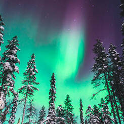 Voyage en Laponie Finlande tout compris sur-mesure