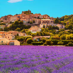 Séjour en Corse : la robinsonnade ! Voyager en France haut de gamme Bohème et Chic