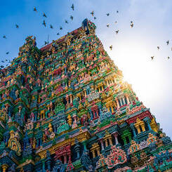 Voyage en Inde du Sud bohème et chic