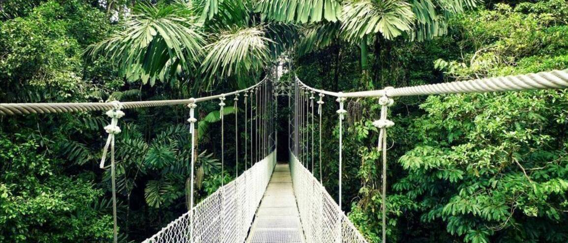 Séjour Costa Rica jungle