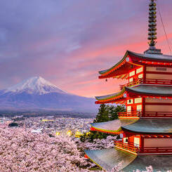 Circuit Japon moderne et médiéval voyage entre grâce et raffinement