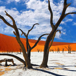 Voyage en Namibie trésors d'un circuit en Namibie culture Himba et lions du Kalahari
