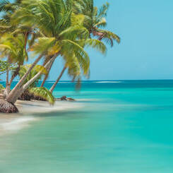 Séjour à Samana voyage Republique Dominicaine
