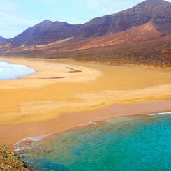 Séjour à Fuerteventura aux Canaries l'île du printemps éternel