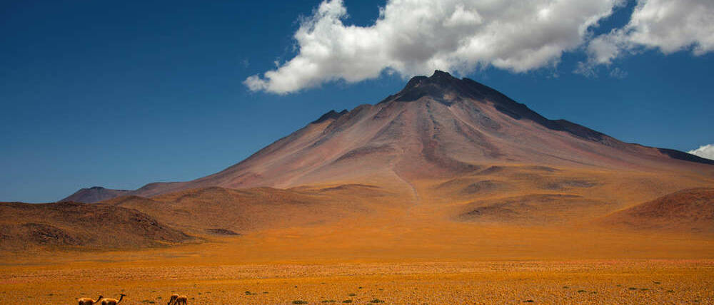 Séjour Chili volcan Licancabur