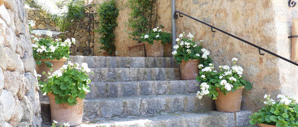 Séjour Deià Majorque escalier et fleurs