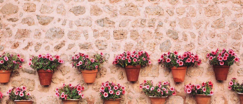 Séjour Deià Valldemossa fleurs au mur