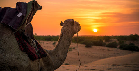 Voyager au Senegal une terre vibrante sous le soleil d'Afrique