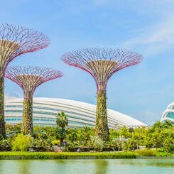 Voyager à Singapour sejour dans une oasis de culture et d'art de vivre