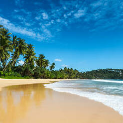 Voyager au Sri Lanka : luxe et authenticité pour un séjour de rêve
