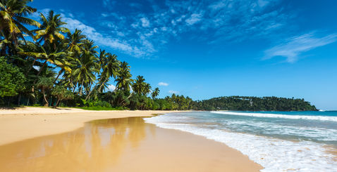 Voyager au Sri Lanka : luxe et authenticité pour un séjour de rêve