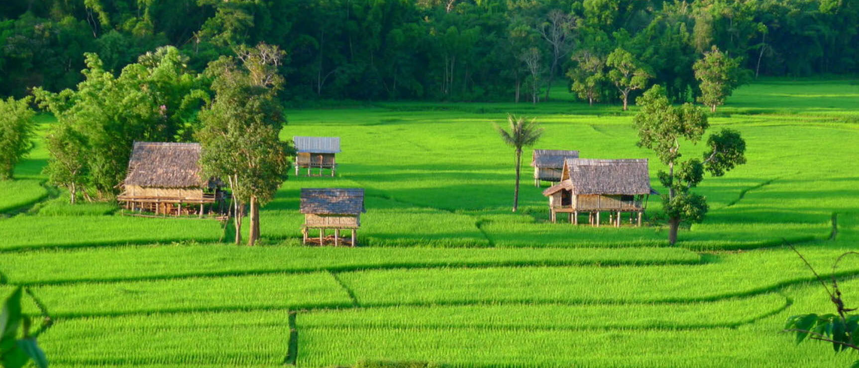 Voyage au Laos Muang La