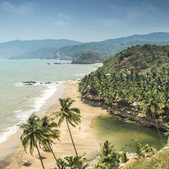 Voyage à Goa en Inde vue de plage et cocotiers