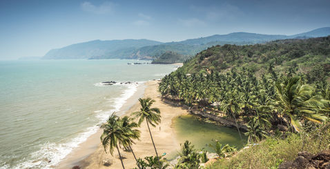 Voyage à Goa en Inde vue de plage et cocotiers
