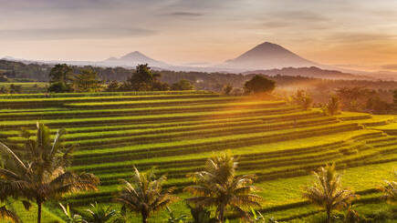 Séjour à Bali en villa de rêve vue de culture locale lors d'un voyage en Indonésie