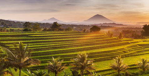 Séjour à Bali en villa de rêve vue de culture locale lors d'un voyage en Indonésie