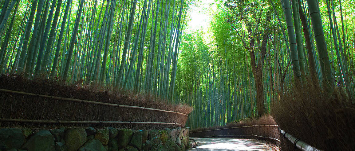 Voyage au Japon Arashiyama