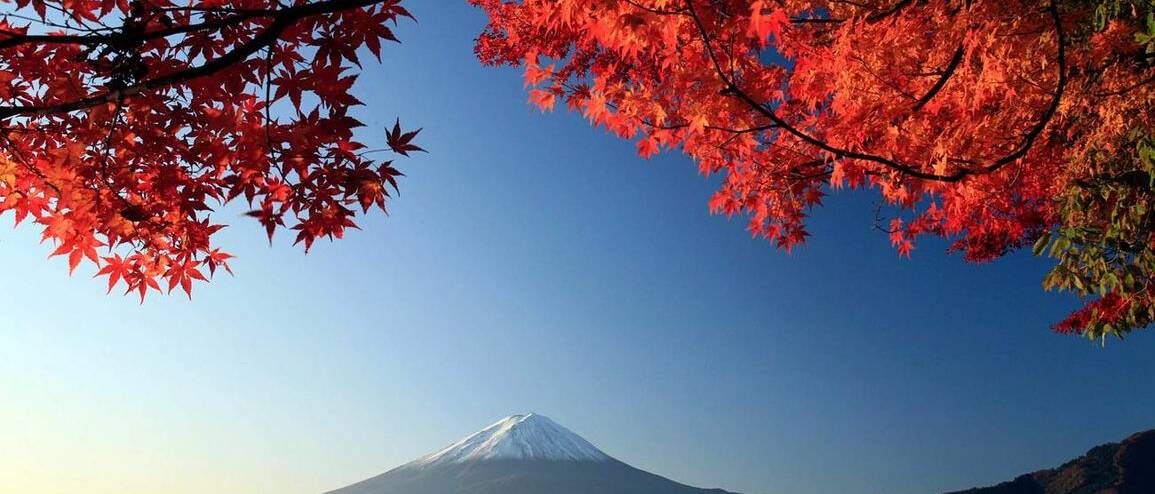 Voyage Japon Mont Fuji