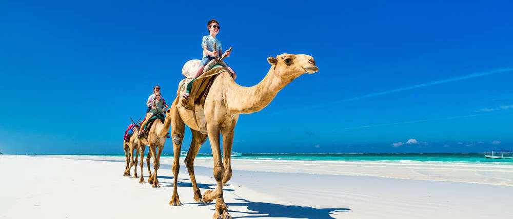 Voyage Kenya balade en chameau sur la plage de Diani Beach