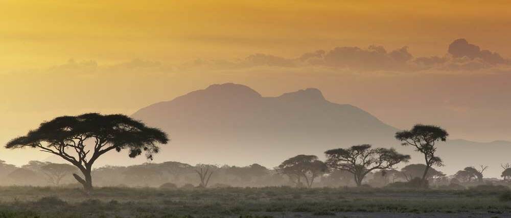 Voyage Kenya paysages de savane