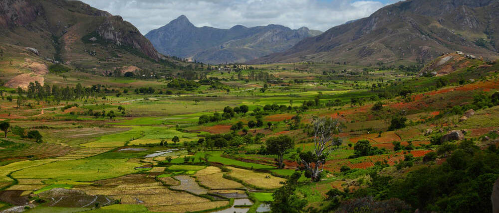 Voyage Madagascar rizières des Hautes terres