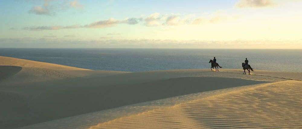 Voyage Mozambique sortie à cheval dunes, plage et océan