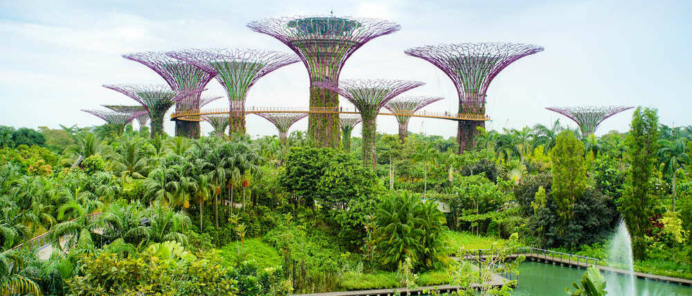 Voyage Singapour supertrees forêt futuriste artificielle