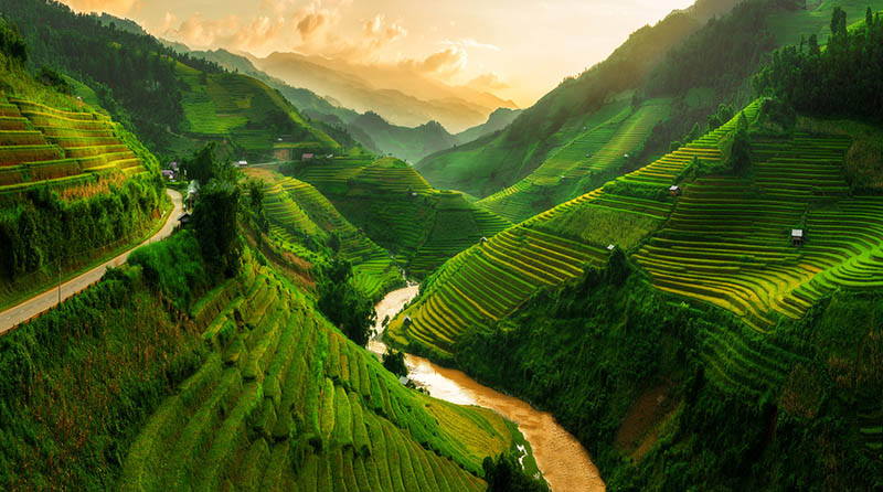 La gastronomie asiatique en 5 questions voyager au Vietnam